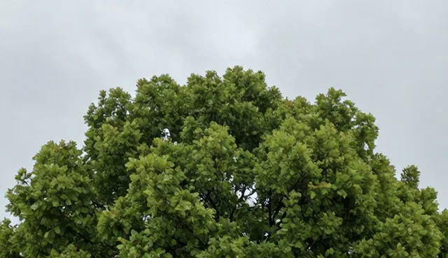 研学旅行套餐选择与使用误区,如何科学应对